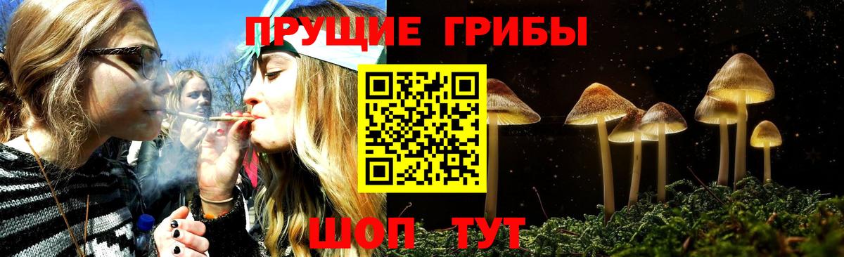 Галлюциногенные грибы ЛСД Великий Новгород