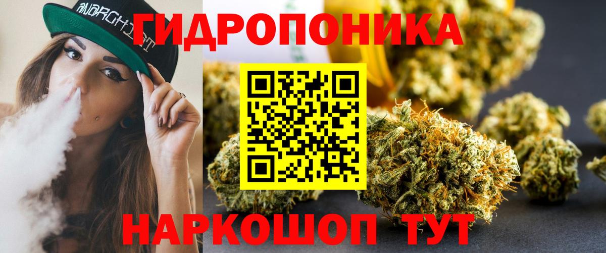 Марихуана ГИДРОПОН  Вход с VPN  Великий Новгород  Канабис планчик  Канабис ГИДРОПОН 